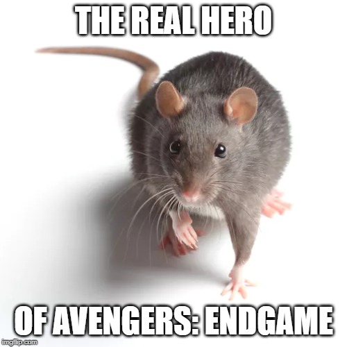 THE REAL HERO; OF AVENGERS: ENDGAME | made w/ Imgflip meme maker