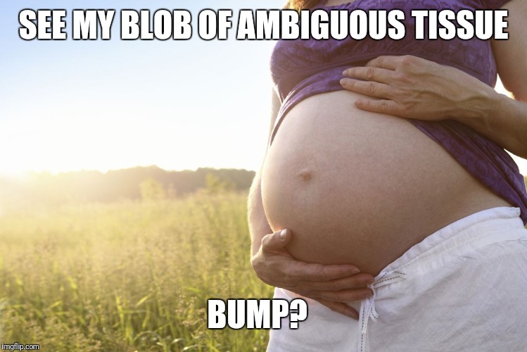 Pregnant Woman | SEE MY BLOB OF AMBIGUOUS TISSUE BUMP? | image tagged in pregnant woman | made w/ Imgflip meme maker