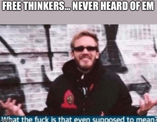 What the fuck is that even supposed to mean? | FREE THINKERS... NEVER HEARD OF EM | image tagged in what the fuck is that even supposed to mean | made w/ Imgflip meme maker