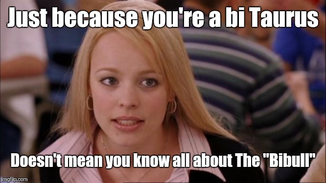 Its Not Going To Happen | Just because you're a bi Taurus; Doesn't mean you know all about The "Bibull" | image tagged in memes,its not going to happen | made w/ Imgflip meme maker