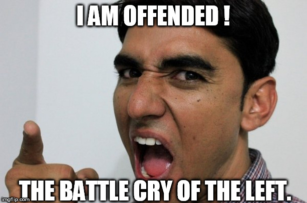 offended | I AM OFFENDED ! THE BATTLE CRY OF THE LEFT. | image tagged in offended | made w/ Imgflip meme maker