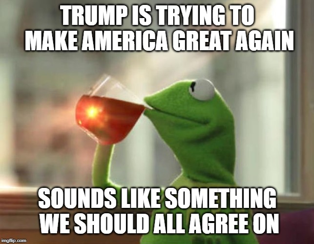 But That's None Of My Business (Neutral) | TRUMP IS TRYING TO MAKE AMERICA GREAT AGAIN; SOUNDS LIKE SOMETHING WE SHOULD ALL AGREE ON | image tagged in memes,but thats none of my business neutral | made w/ Imgflip meme maker