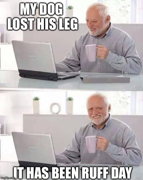 Hide the Pain Harold | MY DOG LOST HIS LEG; IT HAS BEEN RUFF DAY | image tagged in memes,hide the pain harold | made w/ Imgflip meme maker