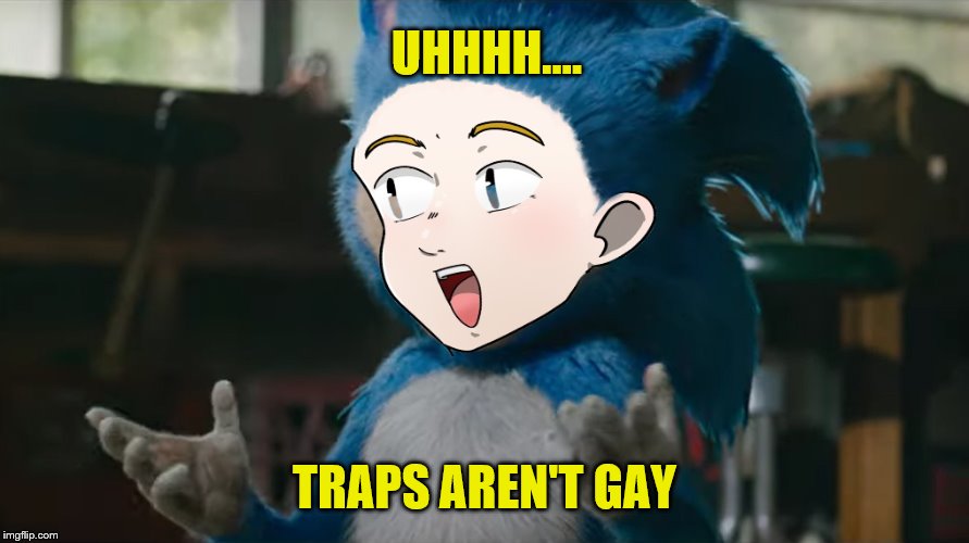 Jargon 06 | UHHHH…. TRAPS AREN'T GAY | image tagged in jargon 06 | made w/ Imgflip meme maker