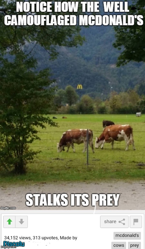 Funny McDonald's Meme | Discolu | image tagged in repost,discolu,suck it | made w/ Imgflip meme maker