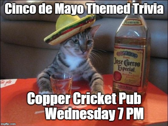 Tequila Cat | Cinco de Mayo Themed Trivia; Copper Cricket Pub       
Wednesday 7 PM | image tagged in tequila cat | made w/ Imgflip meme maker