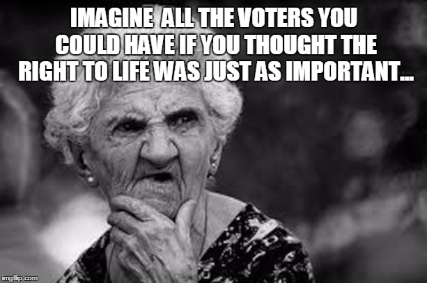 Old Granny | IMAGINE  ALL THE VOTERS YOU COULD HAVE IF YOU THOUGHT THE RIGHT TO LIFE WAS JUST AS IMPORTANT... | image tagged in old granny | made w/ Imgflip meme maker