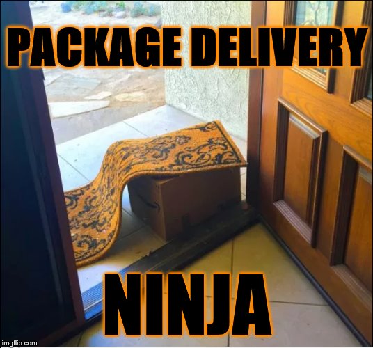 Package Delivery Ninja | PACKAGE DELIVERY; NINJA | image tagged in package delivery ninja | made w/ Imgflip meme maker