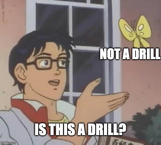 Is This A Pigeon Meme | NOT A DRILL IS THIS A DRILL? | image tagged in memes,is this a pigeon | made w/ Imgflip meme maker