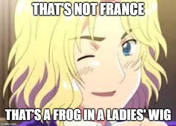 Hetalia France | THAT'S NOT FRANCE; THAT'S A FROG IN A LADIES' WIG | image tagged in hetalia france | made w/ Imgflip meme maker