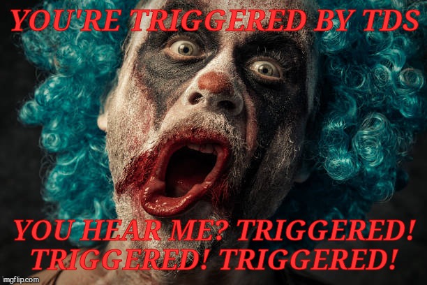 YOU'RE TRIGGERED BY TDS YOU HEAR ME? TRIGGERED! TRIGGERED! TRIGGERED! | made w/ Imgflip meme maker
