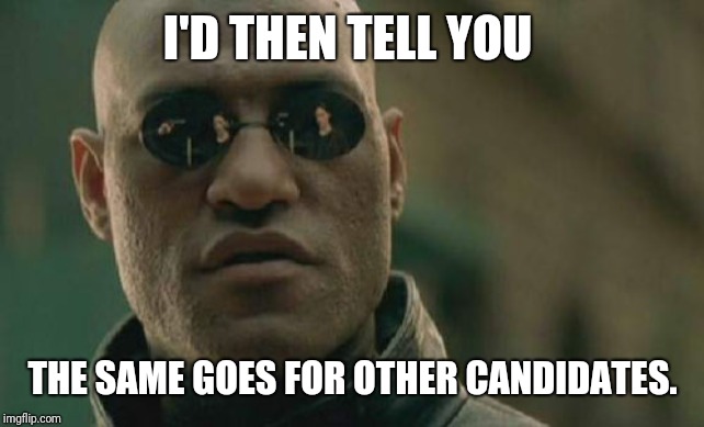Matrix Morpheus Meme | I'D THEN TELL YOU THE SAME GOES FOR OTHER CANDIDATES. | image tagged in memes,matrix morpheus | made w/ Imgflip meme maker