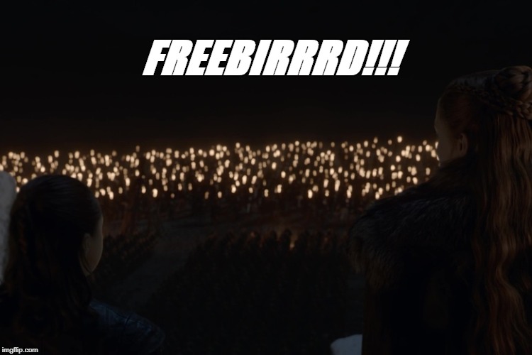 WHAT SONG IS IT YOU WANNA HEAR? | FREEBIRRRD!!! | image tagged in game of thrones | made w/ Imgflip meme maker