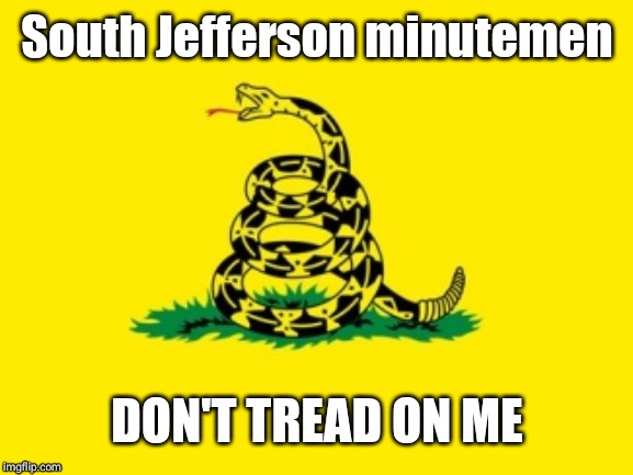 Gadsden Flag | South Jefferson minutemen; DON'T TREAD ON ME | image tagged in gadsden flag | made w/ Imgflip meme maker