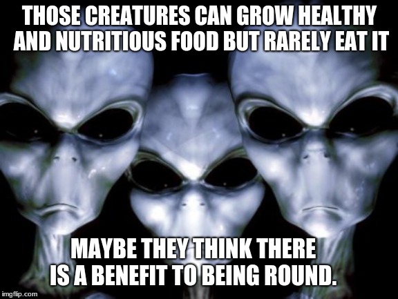 You are what you eat | THOSE CREATURES CAN GROW HEALTHY AND NUTRITIOUS FOOD BUT RARELY EAT IT; MAYBE THEY THINK THERE IS A BENEFIT TO BEING ROUND. | image tagged in angry aliens,good food,eating healthy,processed food,nutrition,diet | made w/ Imgflip meme maker