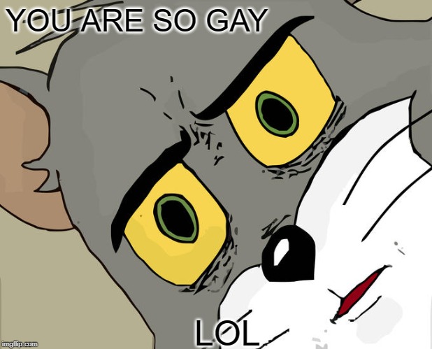 Unsettled Tom Meme | YOU ARE SO GAY; LOL | image tagged in memes,unsettled tom | made w/ Imgflip meme maker