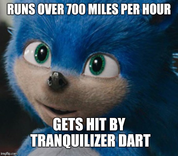 Boy, there are some high hopes for this movie. *Roll my eyes* | RUNS OVER 700 MILES PER HOUR; GETS HIT BY TRANQUILIZER DART | image tagged in sonic 2019,memes | made w/ Imgflip meme maker