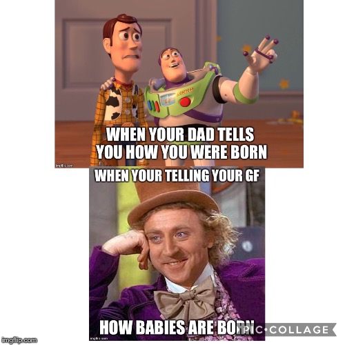 Life | image tagged in dad tells how you were born,born | made w/ Imgflip meme maker