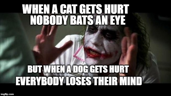 Joker Mind Loss | WHEN A CAT GETS HURT; NOBODY BATS AN EYE; BUT WHEN A DOG GETS HURT; EVERYBODY LOSES THEIR MIND | image tagged in joker mind loss | made w/ Imgflip meme maker