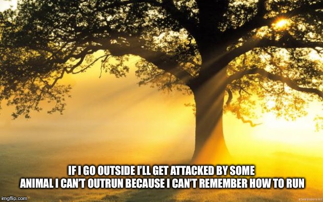 nature | IF I GO OUTSIDE I’LL GET ATTACKED BY SOME ANIMAL I CAN’T OUTRUN BECAUSE I CAN’T REMEMBER HOW TO RUN | image tagged in nature | made w/ Imgflip meme maker