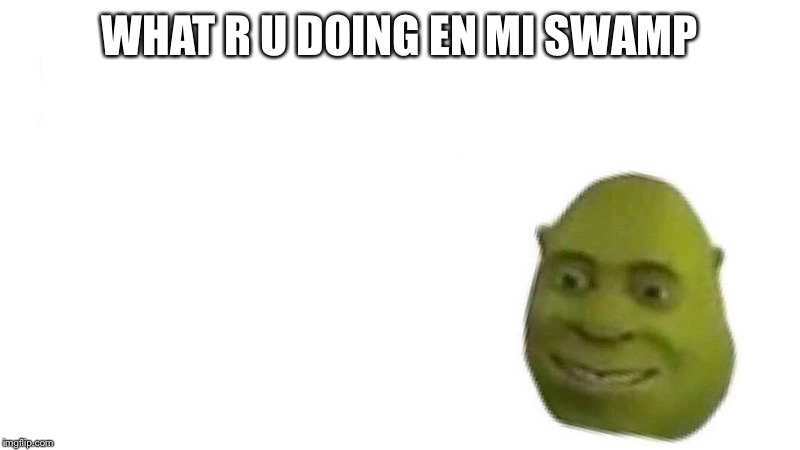 Shrek flex | WHAT R U DOING EN MI SWAMP | image tagged in shrek flex | made w/ Imgflip meme maker