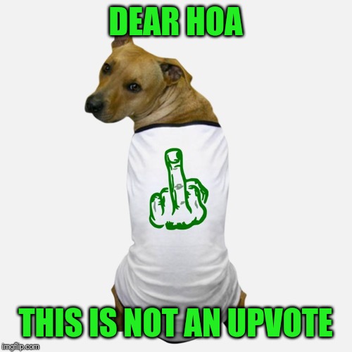dog tshirt | DEAR HOA THIS IS NOT AN UPVOTE | image tagged in dog tshirt | made w/ Imgflip meme maker