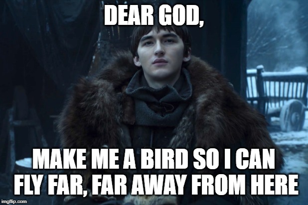 Bran Stark | DEAR GOD, MAKE ME A BIRD SO I CAN FLY FAR, FAR AWAY FROM HERE | image tagged in bran stark | made w/ Imgflip meme maker