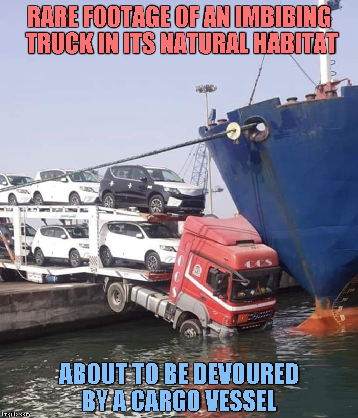 National Geographic | RARE FOOTAGE OF AN IMBIBING TRUCK IN ITS NATURAL HABITAT; ABOUT TO BE DEVOURED BY A CARGO VESSEL | image tagged in memes,funny,national geographic,photo of the day | made w/ Imgflip meme maker