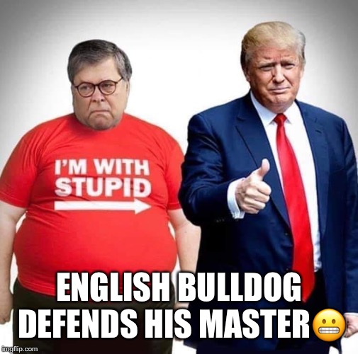 Guard Dog William Barr | ENGLISH BULLDOG DEFENDS HIS MASTER😬 | image tagged in william barr,donald trump,guard dog,obstruction of justice | made w/ Imgflip meme maker