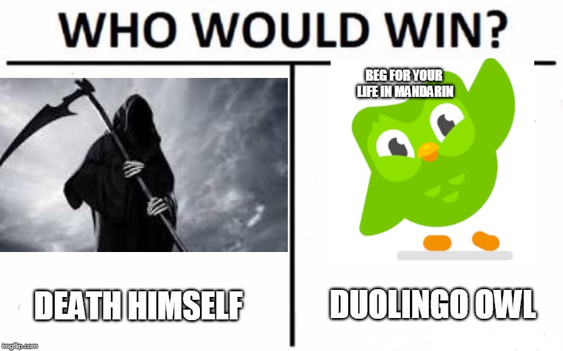 Who Would Win? | BEG FOR YOUR LIFE IN MANDARIN; DUOLINGO OWL; DEATH HIMSELF | image tagged in memes,who would win | made w/ Imgflip meme maker