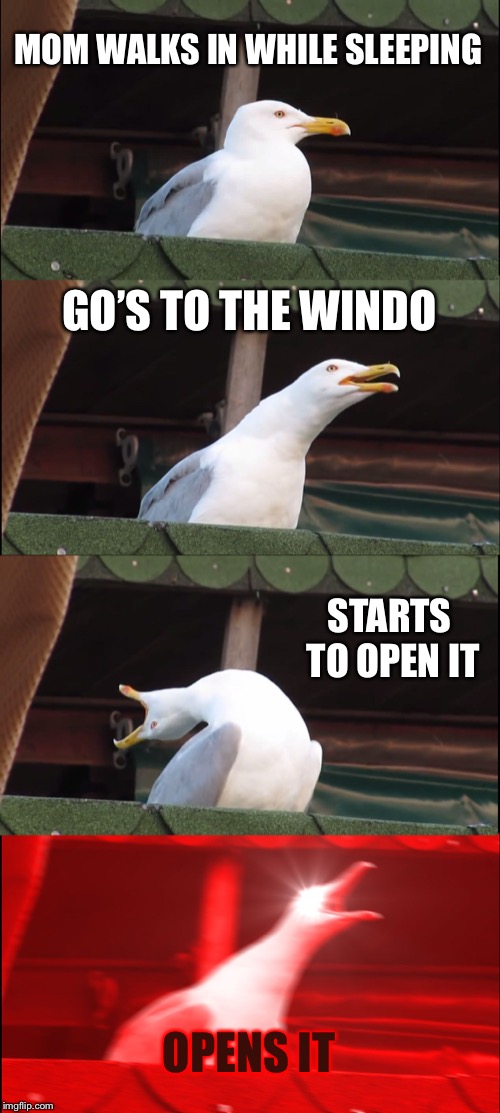 Inhaling Seagull | MOM WALKS IN WHILE SLEEPING; GO’S TO THE WINDO; STARTS TO OPEN IT; OPENS IT | image tagged in memes,inhaling seagull | made w/ Imgflip meme maker