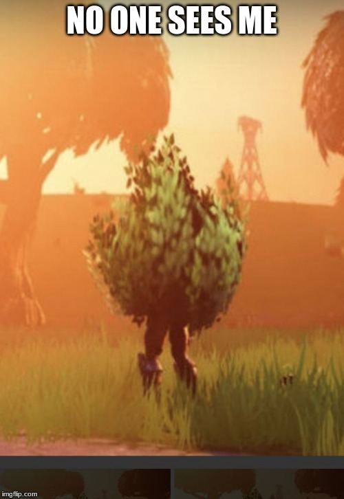 NO ONE SEES ME | image tagged in fortnite bush | made w/ Imgflip meme maker