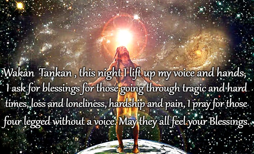 Native American Prayer | Wakan 
Tankan , this night I lift up my voice and hands, I ask for blessings for those going through tragic and hard; times, loss and loneliness, hardship and pain, I pray for those; four legged without a voice. May they all feel your Blessings. | image tagged in native american,native americans,american indians,tribe,indian chief,indian chiefs | made w/ Imgflip meme maker