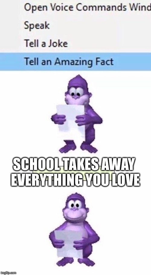Tell an Amazing Fact | SCHOOL TAKES AWAY EVERYTHING YOU LOVE | image tagged in tell an amazing fact | made w/ Imgflip meme maker