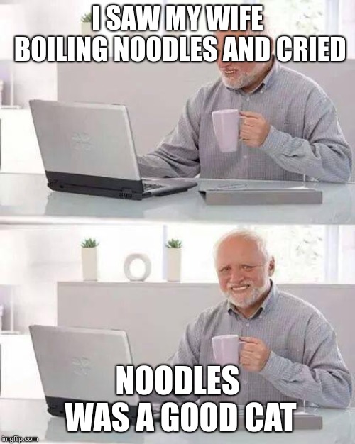 Hide the Pain Harold Meme | I SAW MY WIFE BOILING NOODLES AND CRIED; NOODLES WAS A GOOD CAT | image tagged in memes,hide the pain harold | made w/ Imgflip meme maker