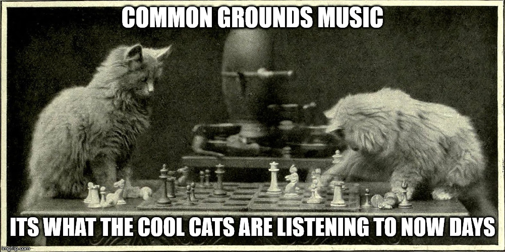 COMMON GROUNDS MUSIC; ITS WHAT THE COOL CATS ARE LISTENING TO NOW DAYS | image tagged in cats,cat memes,cute cats,music,rap,hip hop | made w/ Imgflip meme maker