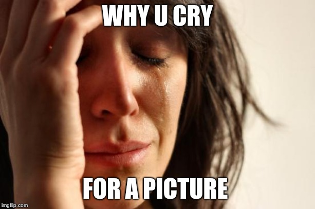 First World Problems | WHY U CRY; FOR A PICTURE | image tagged in memes,first world problems | made w/ Imgflip meme maker