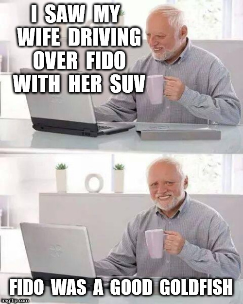 Hide the Pain Harold Meme | I  SAW  MY  WIFE  DRIVING  OVER  FIDO  WITH  HER  SUV FIDO  WAS  A  GOOD  GOLDFISH | image tagged in memes,hide the pain harold | made w/ Imgflip meme maker