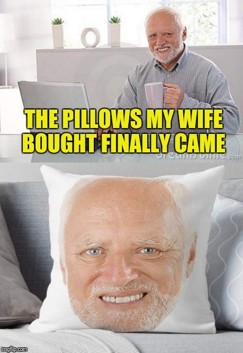 THE PILLOWS MY WIFE BOUGHT FINALLY CAME | image tagged in hide the pain harold smile,hide the pillow,who would buy this | made w/ Imgflip meme maker