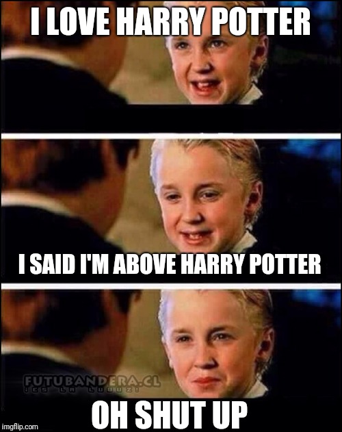 El Top En Espanol De Memes Sobre Harry Potter Esta En Memedroid