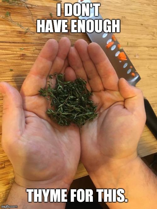 Thyme On My Hands | I DON'T HAVE ENOUGH; THYME FOR THIS. | image tagged in thyme on my hands | made w/ Imgflip meme maker