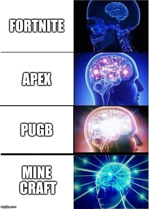 Expanding Brain | FORTNITE; APEX; PUGB; MINE CRAFT | image tagged in memes,expanding brain | made w/ Imgflip meme maker