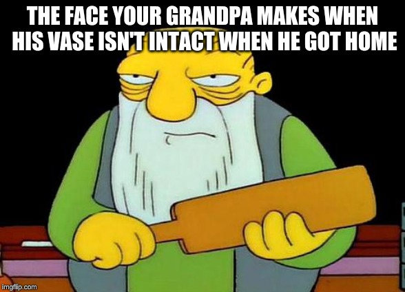 That's a paddlin' Meme | THE FACE YOUR GRANDPA MAKES WHEN HIS VASE ISN'T INTACT WHEN HE GOT HOME | image tagged in memes,that's a paddlin' | made w/ Imgflip meme maker