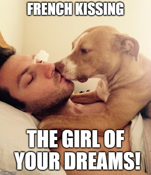 Woke up with dog breath today!! | FRENCH KISSING; THE GIRL OF YOUR DREAMS! | image tagged in dogs,sweet dreams,memes,romantic kiss,fun,happy dog | made w/ Imgflip meme maker