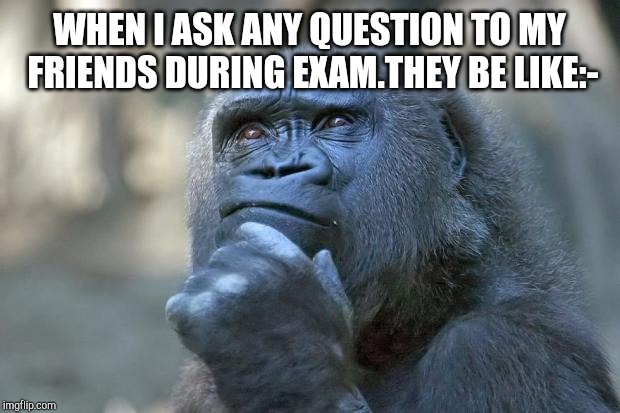 that is the question | WHEN I ASK ANY QUESTION TO MY FRIENDS DURING EXAM.THEY BE LIKE:- | image tagged in that is the question | made w/ Imgflip meme maker
