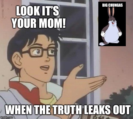 When the truth leaks | BIG CHUNGAS; LOOK IT’S YOUR MOM! WHEN THE TRUTH LEAKS OUT | image tagged in memes,is this a pigeon,big chungus,your mom | made w/ Imgflip meme maker