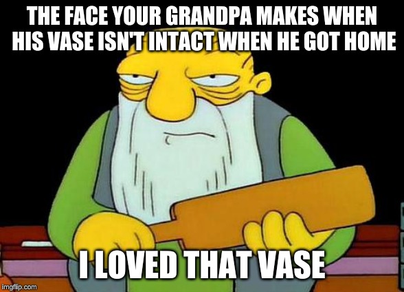 That's a paddlin' | THE FACE YOUR GRANDPA MAKES WHEN HIS VASE ISN'T INTACT WHEN HE GOT HOME; I LOVED THAT VASE | image tagged in memes,that's a paddlin' | made w/ Imgflip meme maker