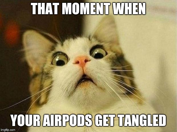 Scared Cat Meme | THAT MOMENT WHEN; YOUR AIRPODS GET TANGLED | image tagged in memes,scared cat | made w/ Imgflip meme maker