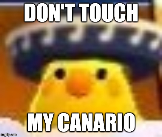 DON'T TOUCH; MY CANARIO | image tagged in funny memes | made w/ Imgflip meme maker