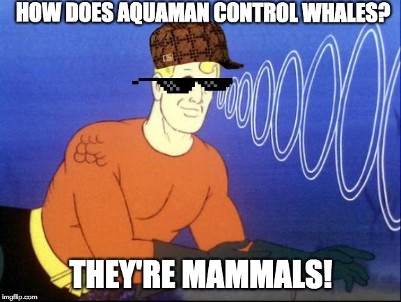 Aquaman | HOW DOES AQUAMAN CONTROL WHALES? THEY'RE MAMMALS! | image tagged in aquaman | made w/ Imgflip meme maker